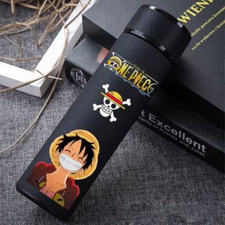 Insulated Flask